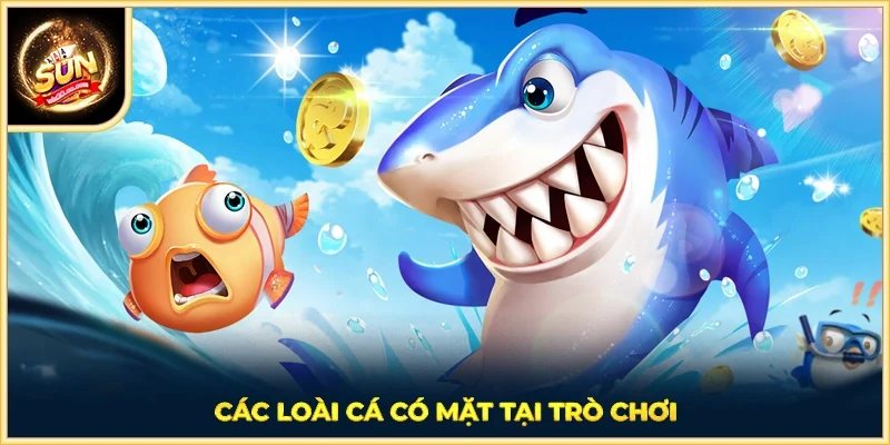Các loài cá có mặt tại trò chơi