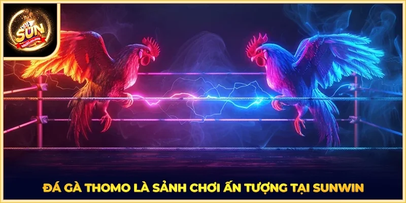 Đá gà Thomo là sảnh chơi ấn tượng tại SUNWIN