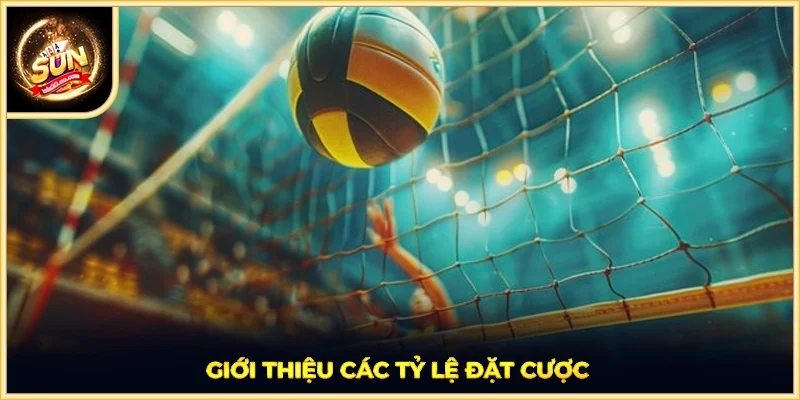Giới thiệu các tỷ lệ đặt cược