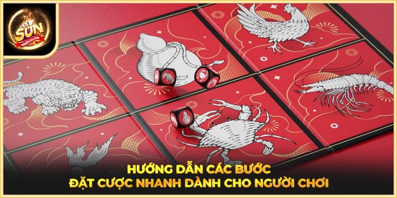 Hướng dẫn các bước đặt cược nhanh dành cho người chơi