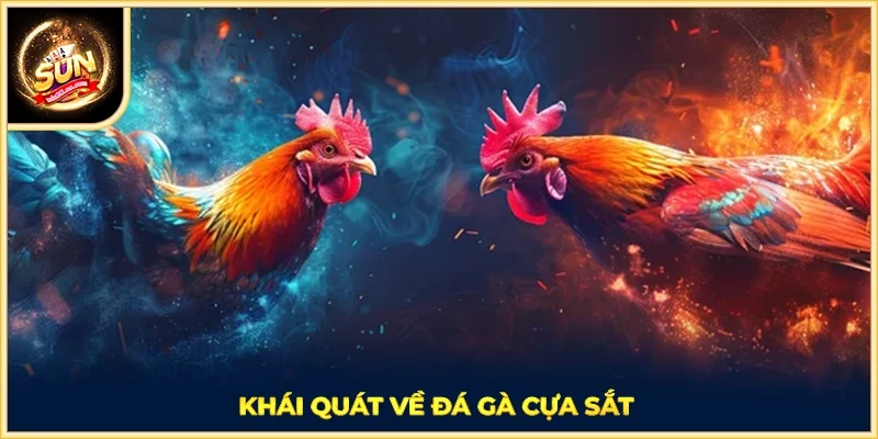 Khái quát về đá gà cựa sắt