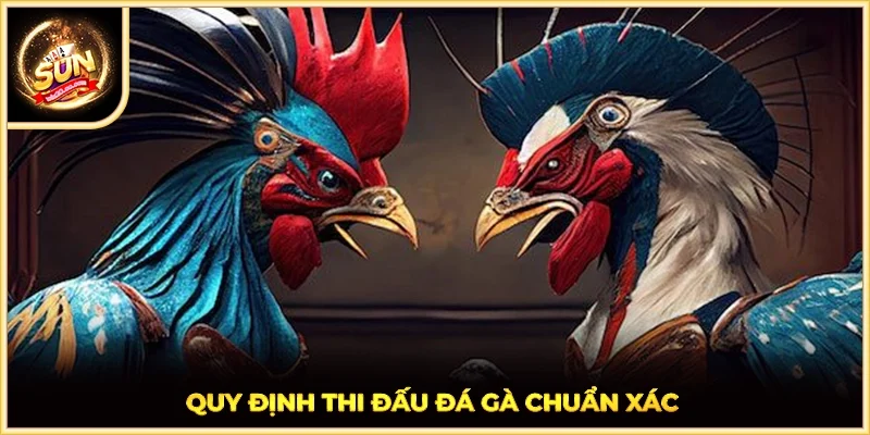Quy định thi đấu đá gà chuẩn xác