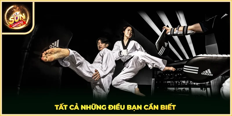 Tất cả những điều bạn cần biết