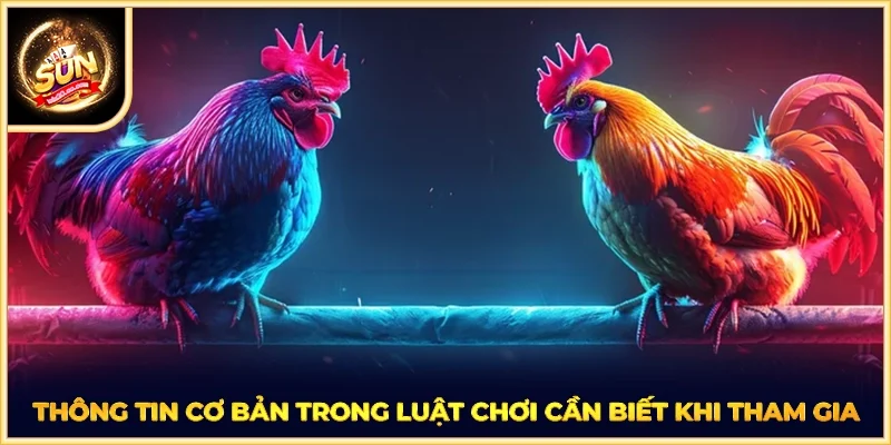 Thông tin cơ bản trong luật chơi cần biết khi tham gia