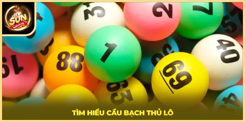 Tìm hiểu cầu bạch thủ lô